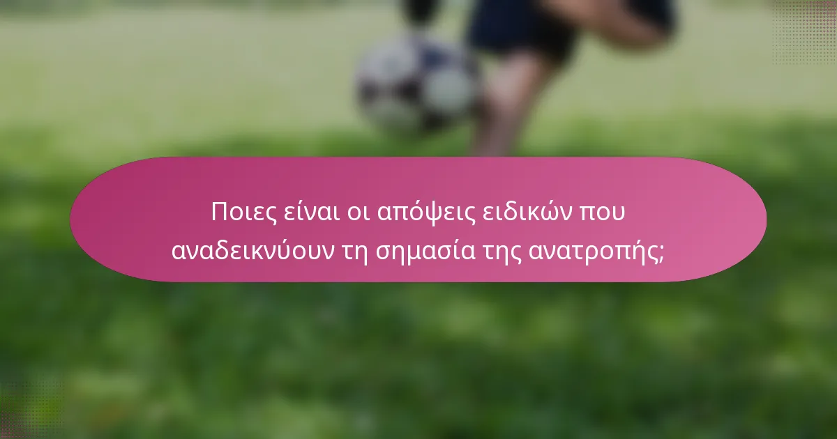 Ποιες είναι οι απόψεις ειδικών που αναδεικνύουν τη σημασία της ανατροπής;
